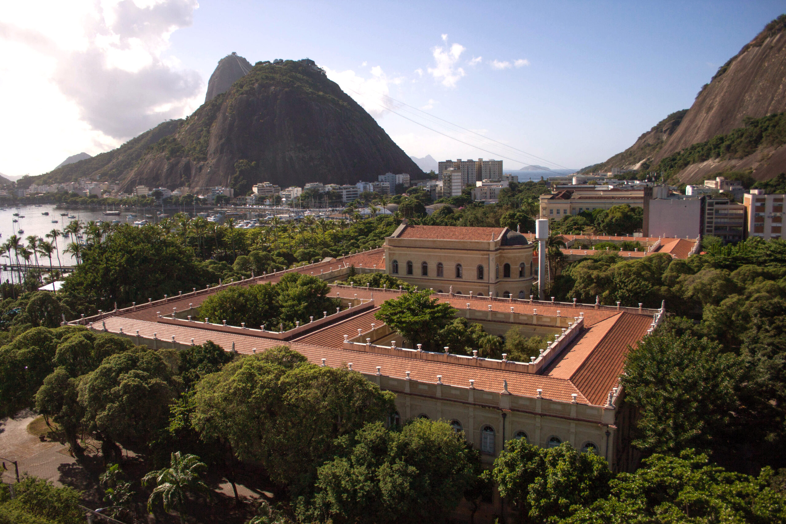 Calourada - Welcome to the Jungle, Direito - UFMG, FLC BRASIL